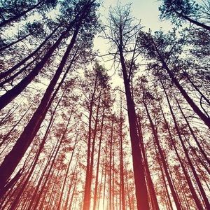 Meet your Posher, Meghan